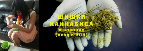 ПСИЛОЦИБИНОВЫЕ ГРИБЫ Бородино