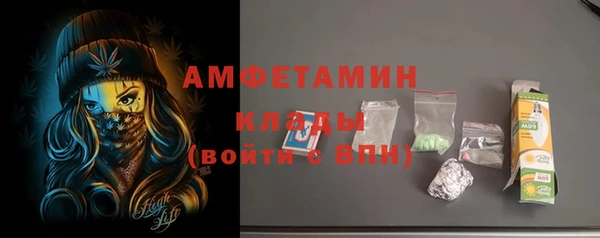 ПСИЛОЦИБИНОВЫЕ ГРИБЫ Бородино
