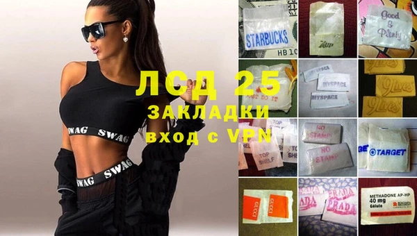 ПСИЛОЦИБИНОВЫЕ ГРИБЫ Бородино