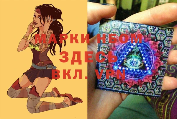 ПСИЛОЦИБИНОВЫЕ ГРИБЫ Бородино