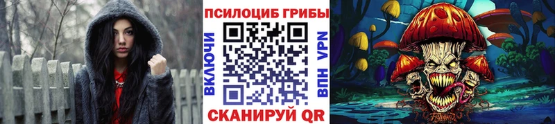 Купить  Нефтегорск  Псилоцибиновые грибы мицелий 