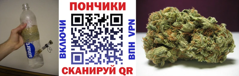 Купить закладки  Нефтегорск  Конопля тримм 